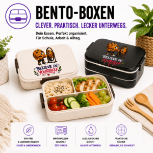 Bento Lunch Boxen